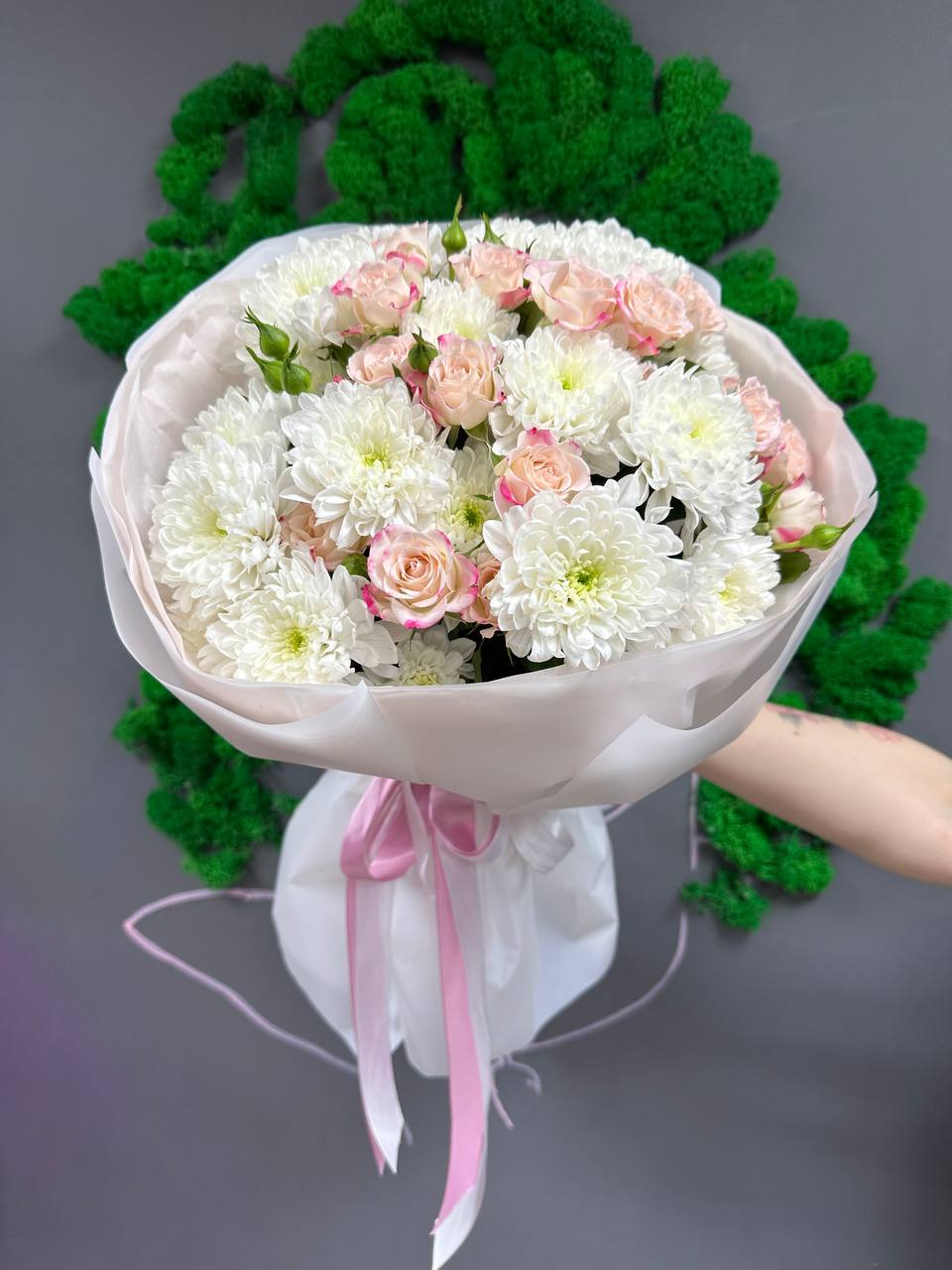 3 рефлекс 4 земблы