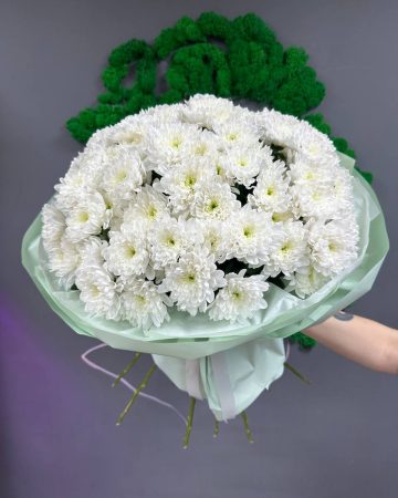 Букет из 15 хризантемы Земблы