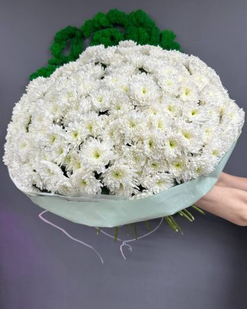 Букет из 51 хризантемы Земблы
